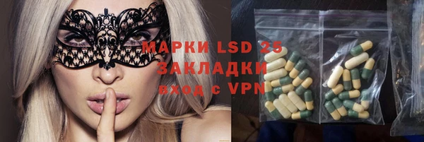 прущие грибы Арсеньев