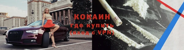 прущие грибы Арсеньев